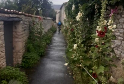 Chemin du roi de Mauzé
